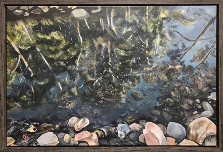 Springbrook Reflections