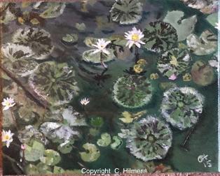 Lillies