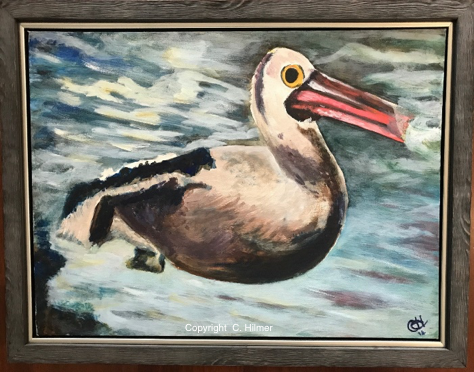 Mr Peli