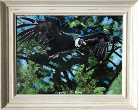 The Condor
