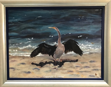 Swan River Shag