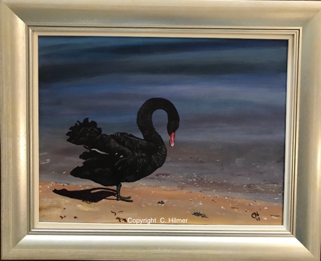Swan River Swan