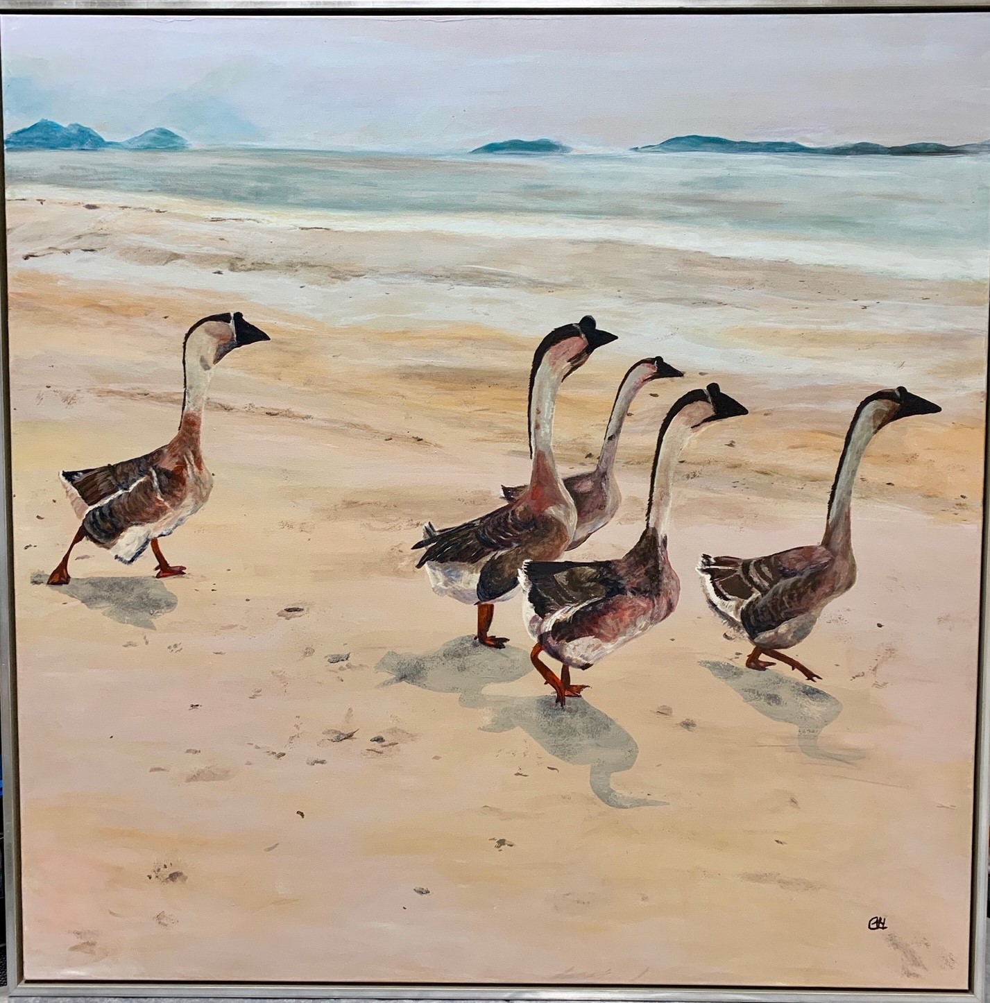 A Feathered Frollic