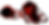 Messenger_creation_820E09B6-3CB5-4212-A180-075F548F9413_edited_edited.png