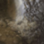 Thumbnail: Sea Mud | Coconut Water & Chamomile