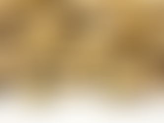 W Hiszpanii aresztowano 14-tu członków grupy przestępczej, która fałszowała ekologiczne pistacje