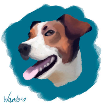 can macarena (wando).jpg