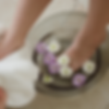 SPA - square.png