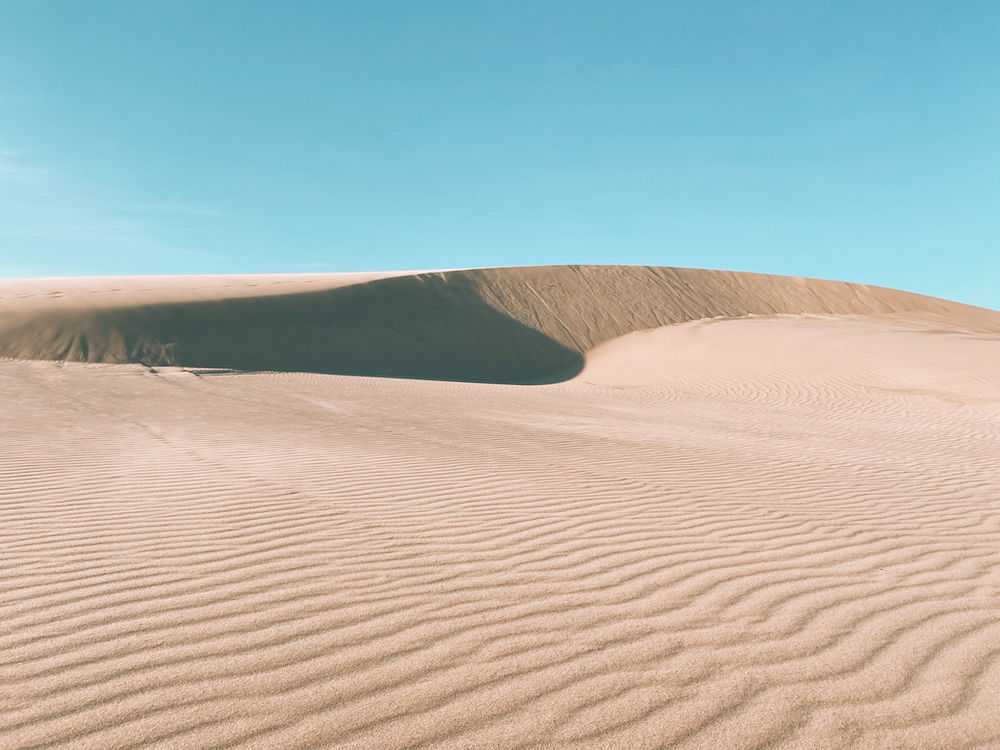 Oregon Dunes