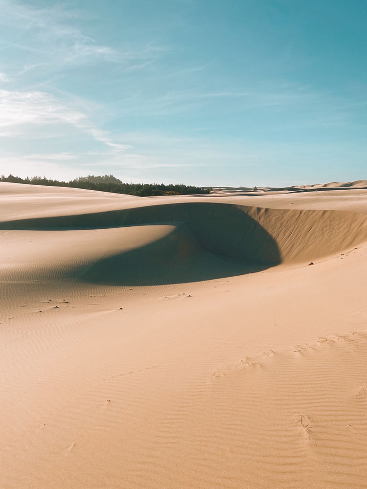 Oregon Dunes