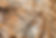 iStock-618070260.jpg