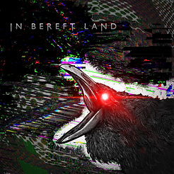 in bereft land copy.jpg