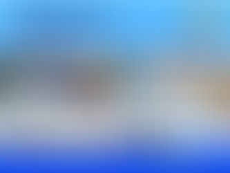 Introduction to Gamelets