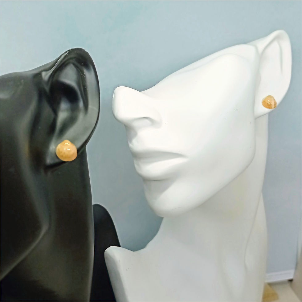 Miniature : Boucles d'oreilles coquillages
