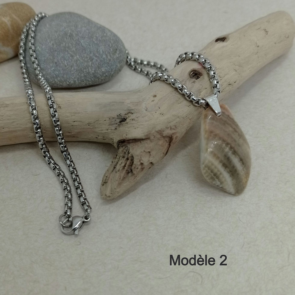 Miniature : Collier argent et duo de coquillages
