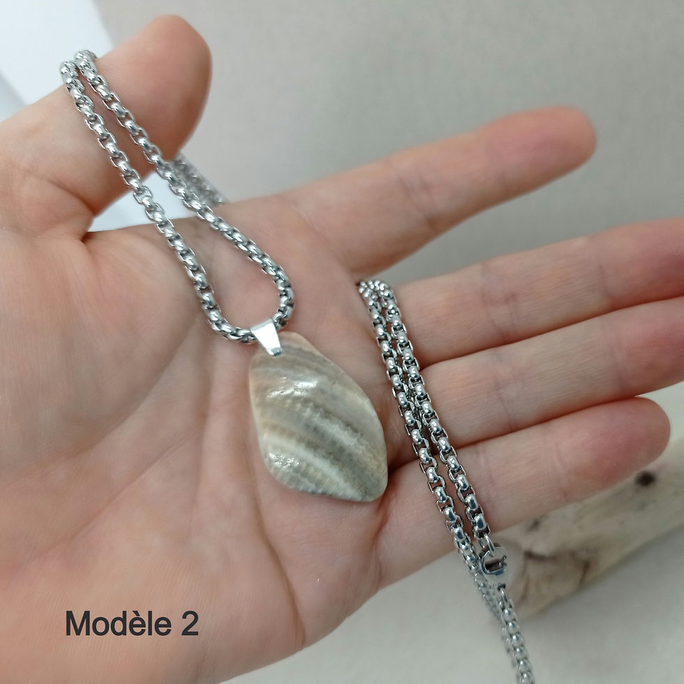 Miniature : Collier argent et duo de coquillages