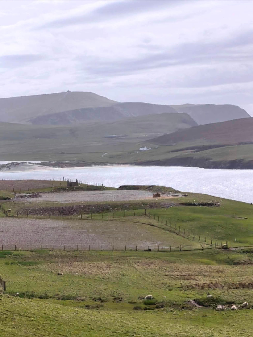 Tiny Shetland Arrivals at Love From Shetland