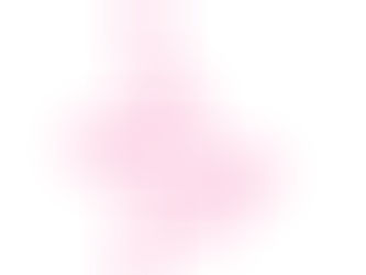 שלבי העבודה