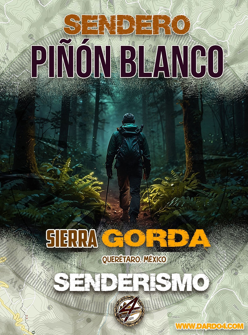 piñoblancoface.jpg