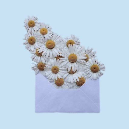 Foto del escritor: zZ-WS