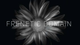 Saxophonist Shawn Maxwell's Celebrates the Release of 'Frenetic Domain' with Classical Saxophonist Chika Inoue with 4 Shows in Chicago March 26-29