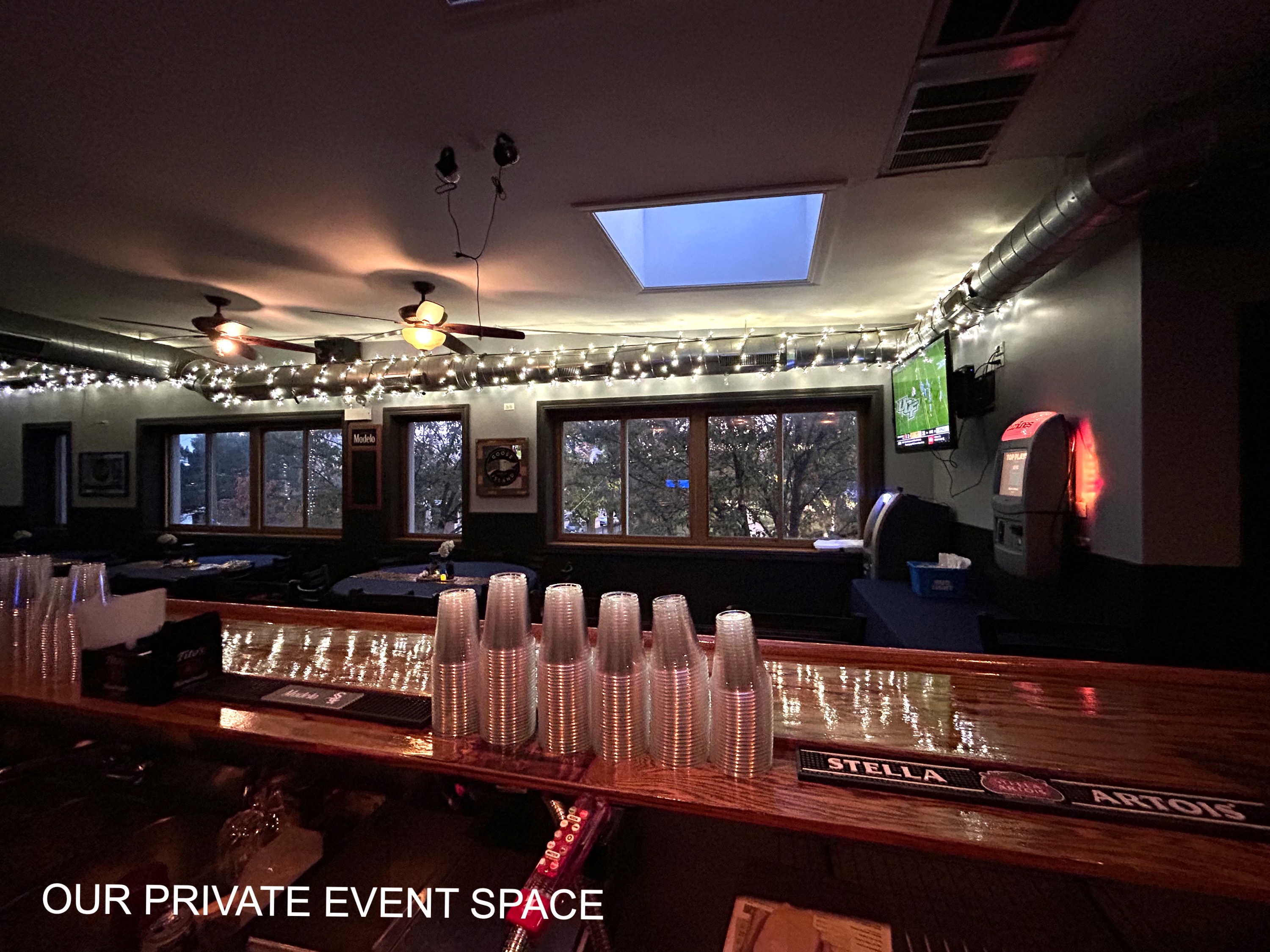 Turtles Bar and Grill — Douglas