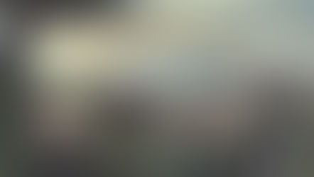 Beyond the Rainbow Bridge