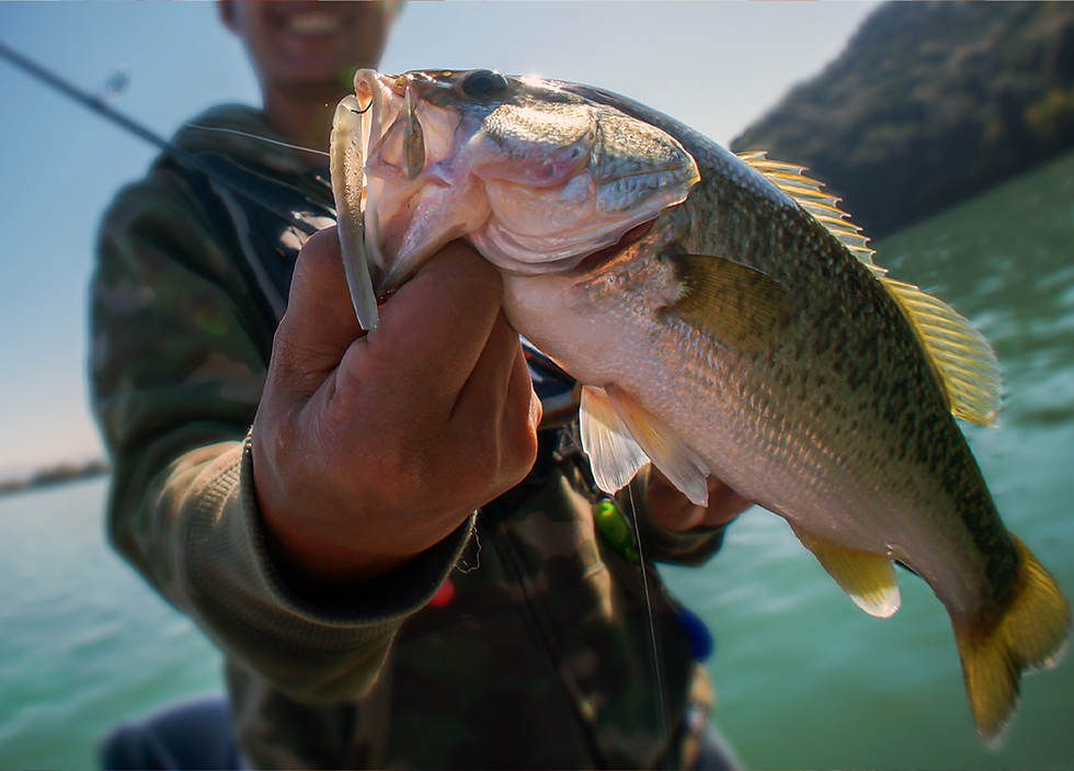 Oklahoma Free Fishing Weekend 2026 Near Vian Oklahoma: No License Needed — Cast a Line Anywhere