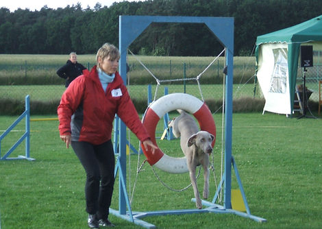 Agility tenerife