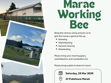 Puketawa Marae Working Bee