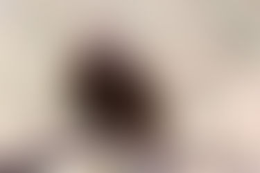 איך בוחרים שותף לאהבה/לחיים?