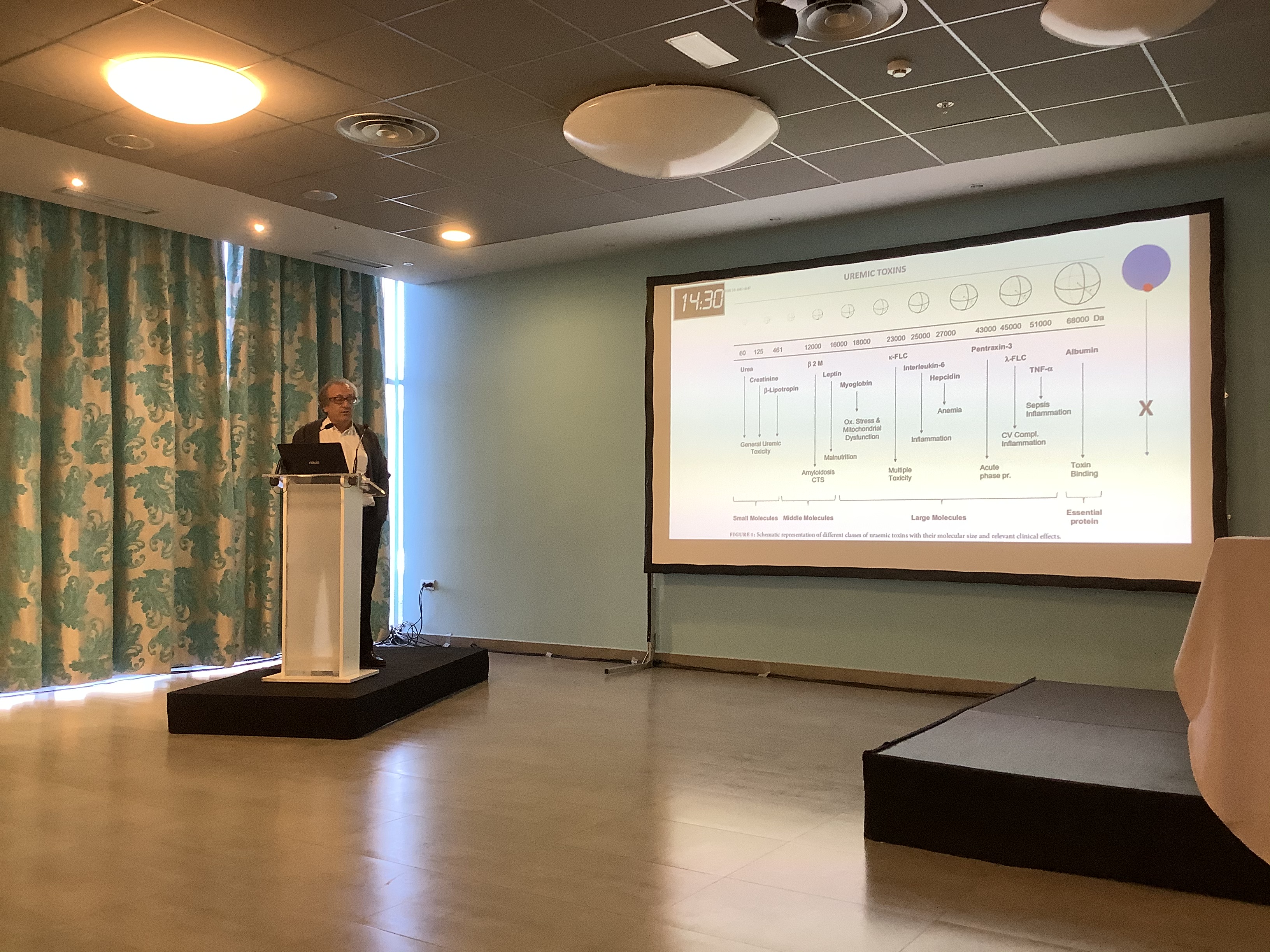 LVI Reunión SCALN 2019