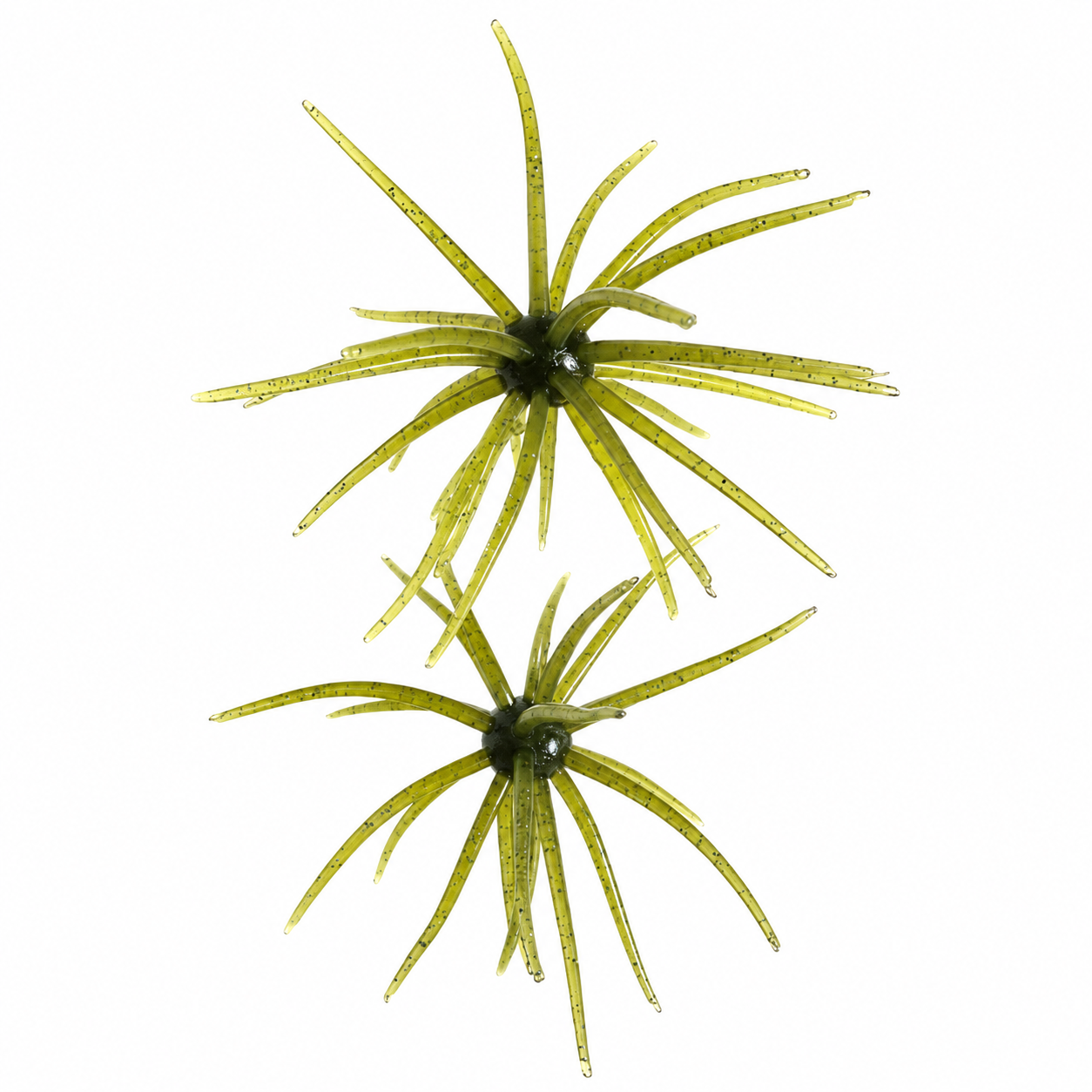 Monkey Nutz 10mm Standard - Green Pumpkin Blue