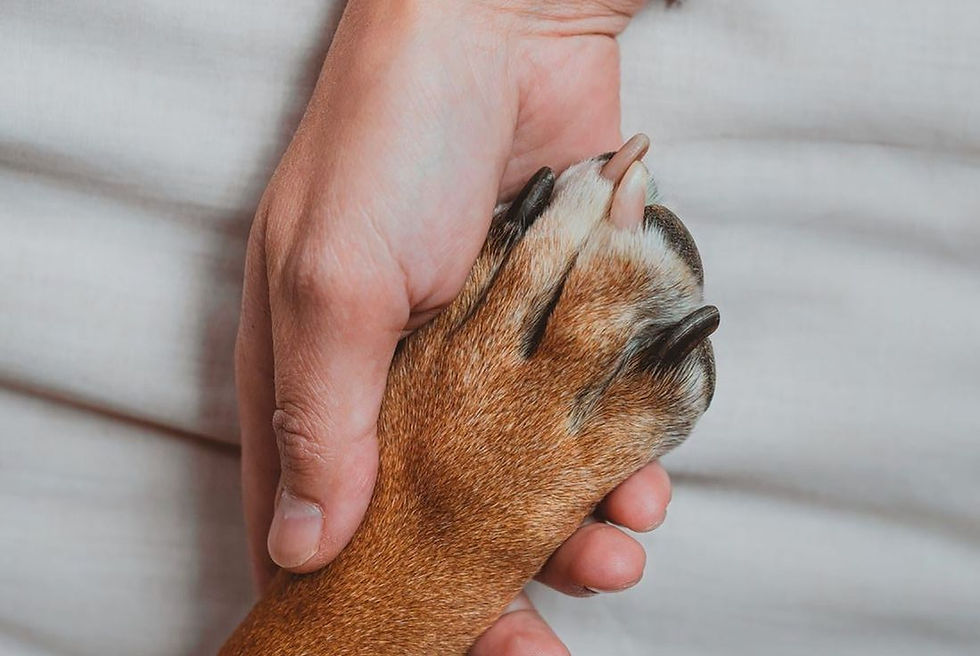 Man and Dog_edited.jpg