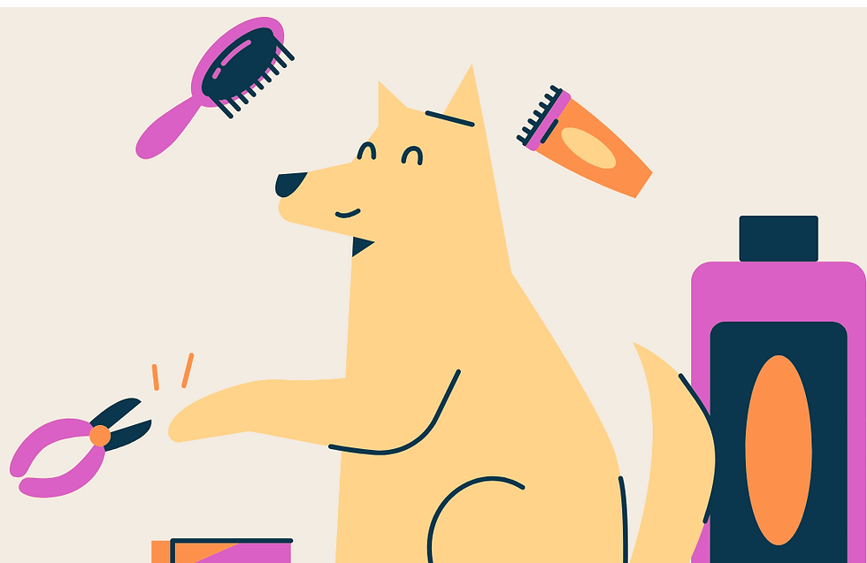 pet training services |petbuddycentral in kanpur