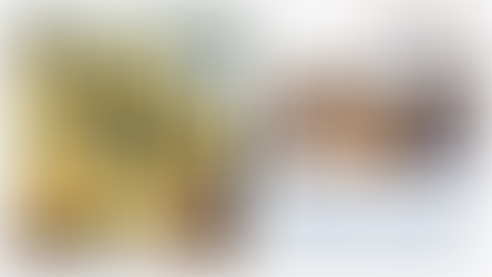 How Choosing the Right Content Marketing Agency Can Boost Your Business