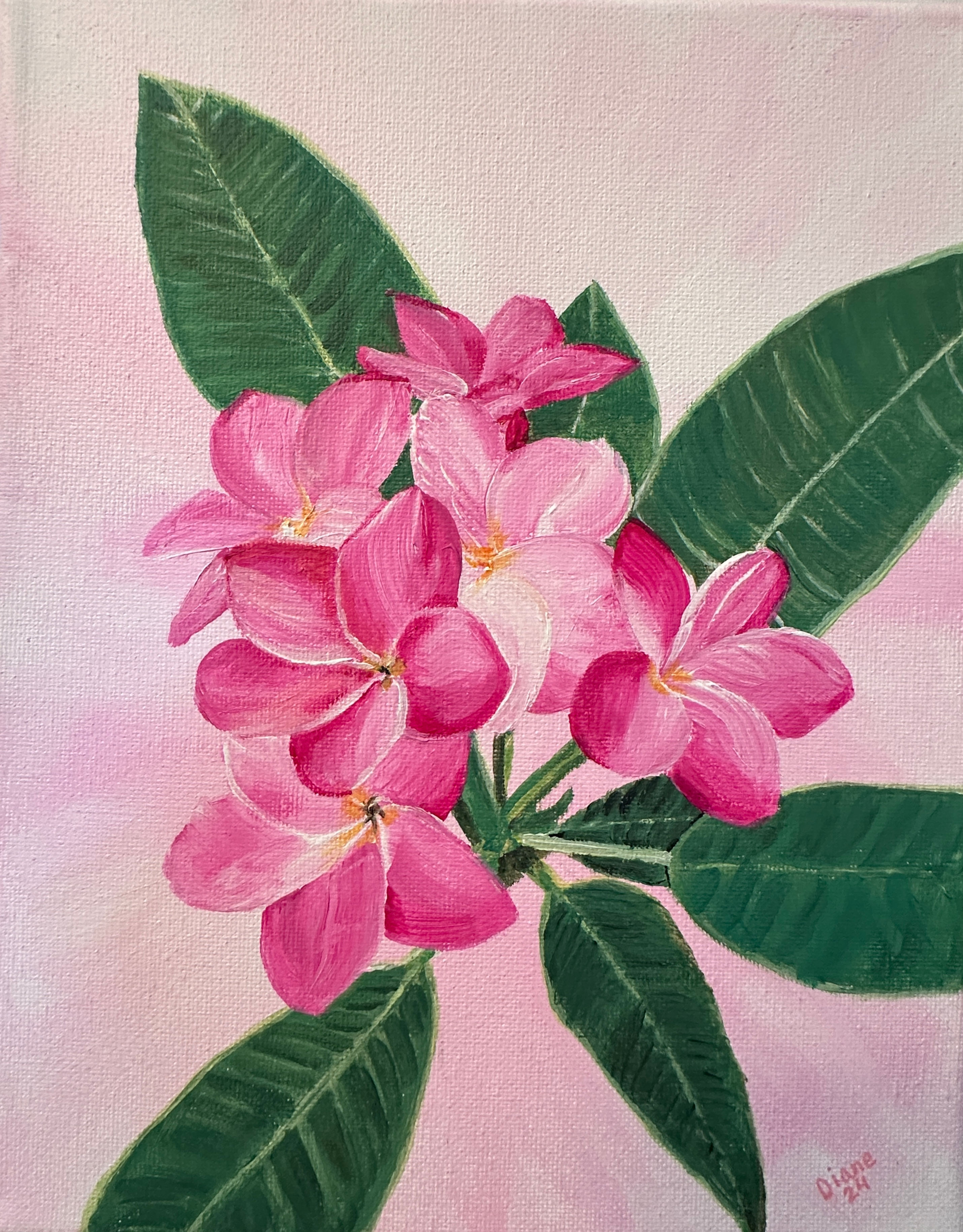 Pink Plumeria
