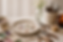 0edae190-e63a-4e13-8f73-ffe7b11e266d.png