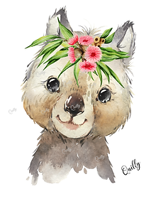 Aussie Wombat WM-2.png