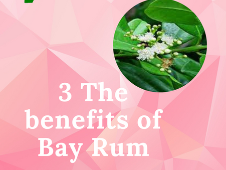 3 BENEFITS OF BAY RUM FOR HAIR GROWTH