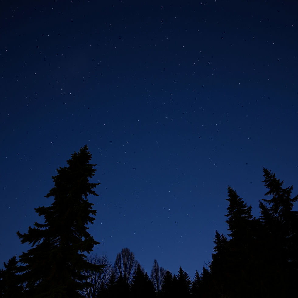 Trees against the night sky.jpg