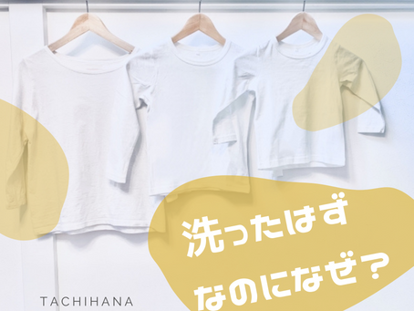 洗って収納したはずなのになぜ?