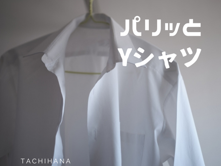 パリッとYシャツ