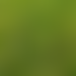 12月研修会結果