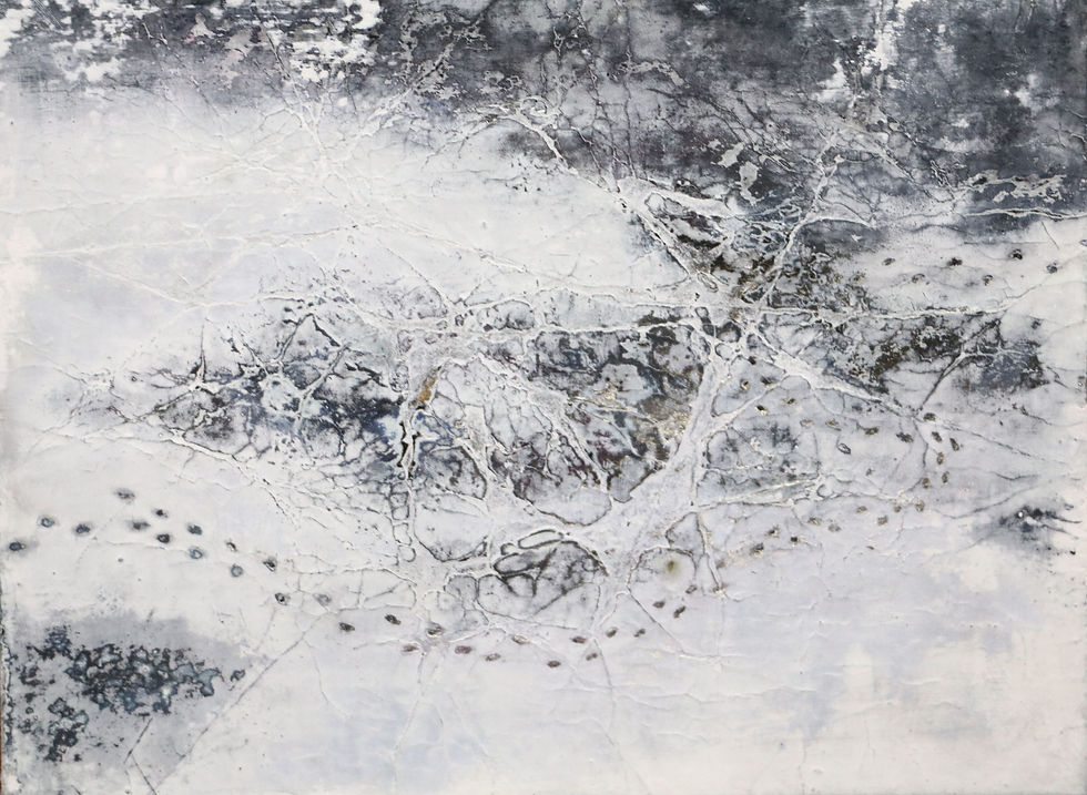 20x15 cm