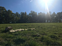 Ruhige Stimmung vor einem Ritual auf dem Hainberg