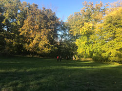 Kräuterwanderung