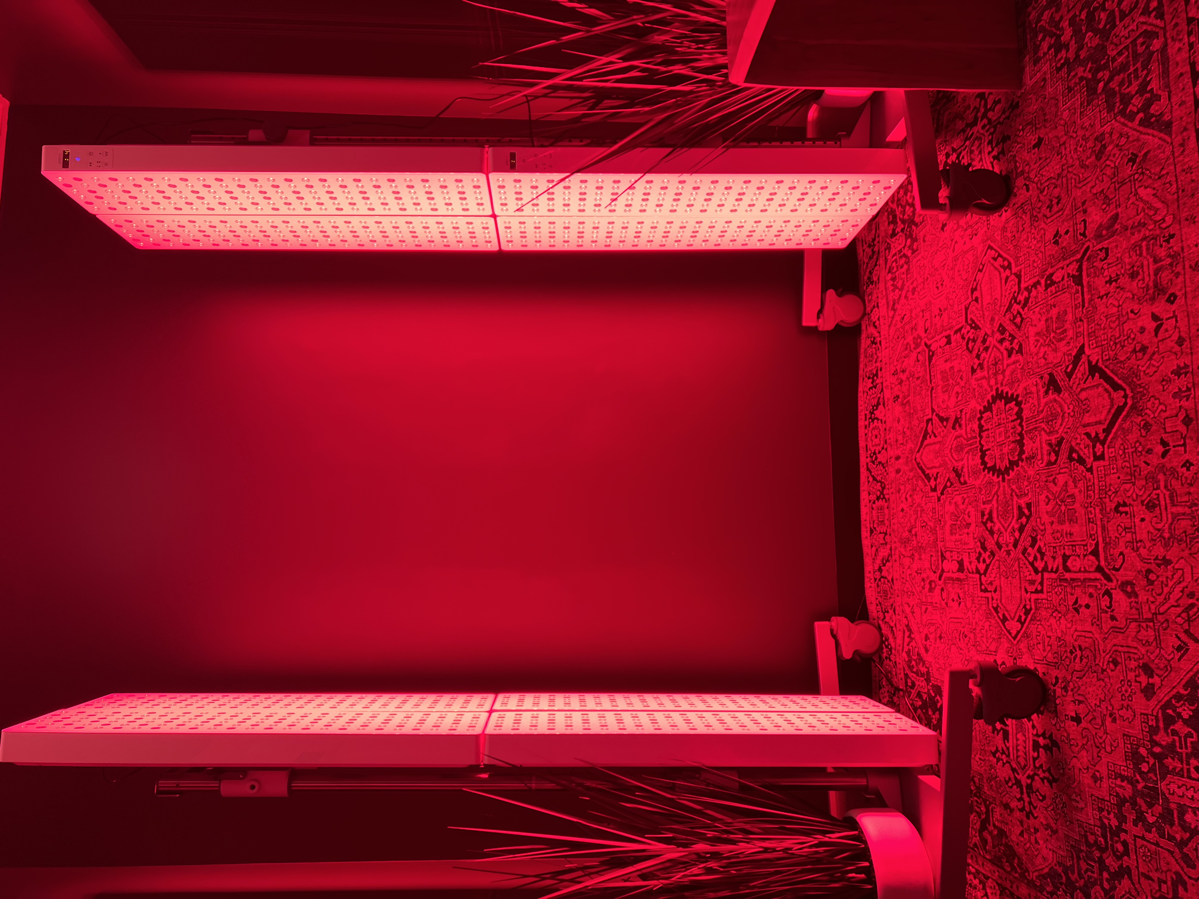 Willow Health & Wellness Center - Image 5