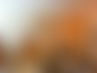 Staying Strong + Steady in Your Morning Classes