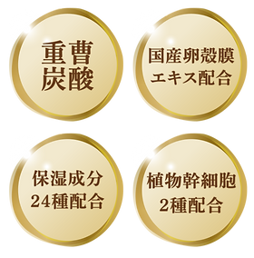 スパークリングパック ZOGANKIN G4U SPARKLING PACK(スパークリングパック） | ZOGANKIN